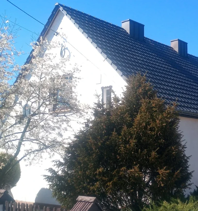 mężczyzna na dachu