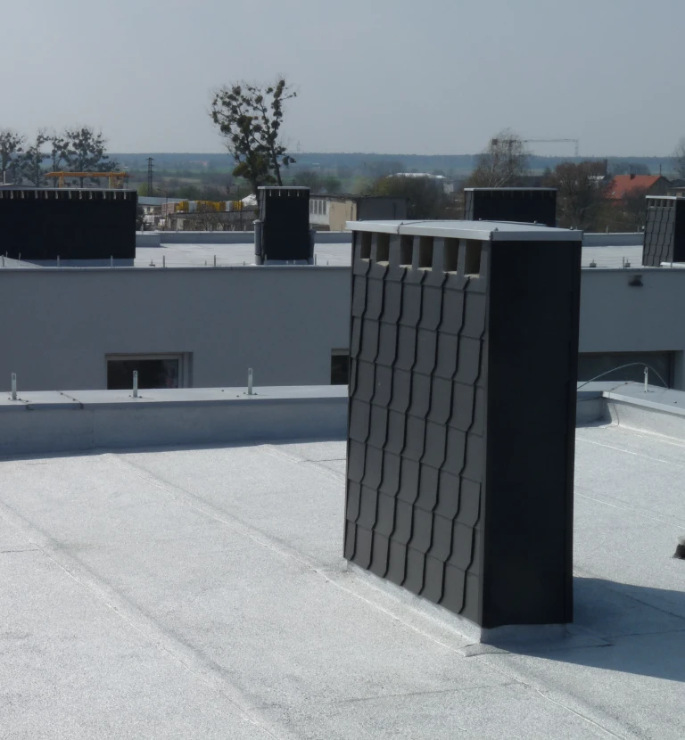 dach plaski z&nbsp;kominem