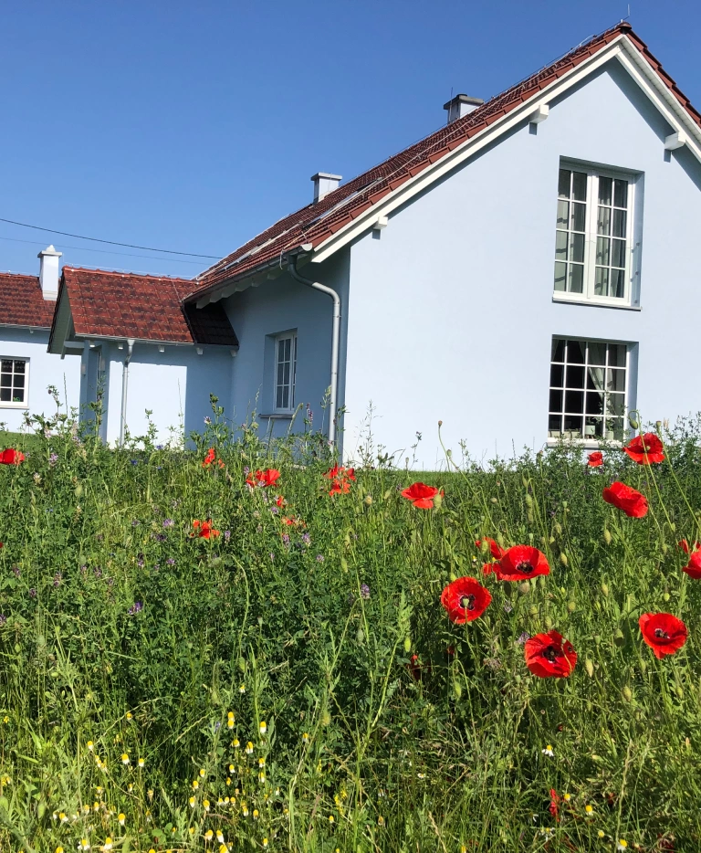 dom jednorodzinny na&nbsp;wsi